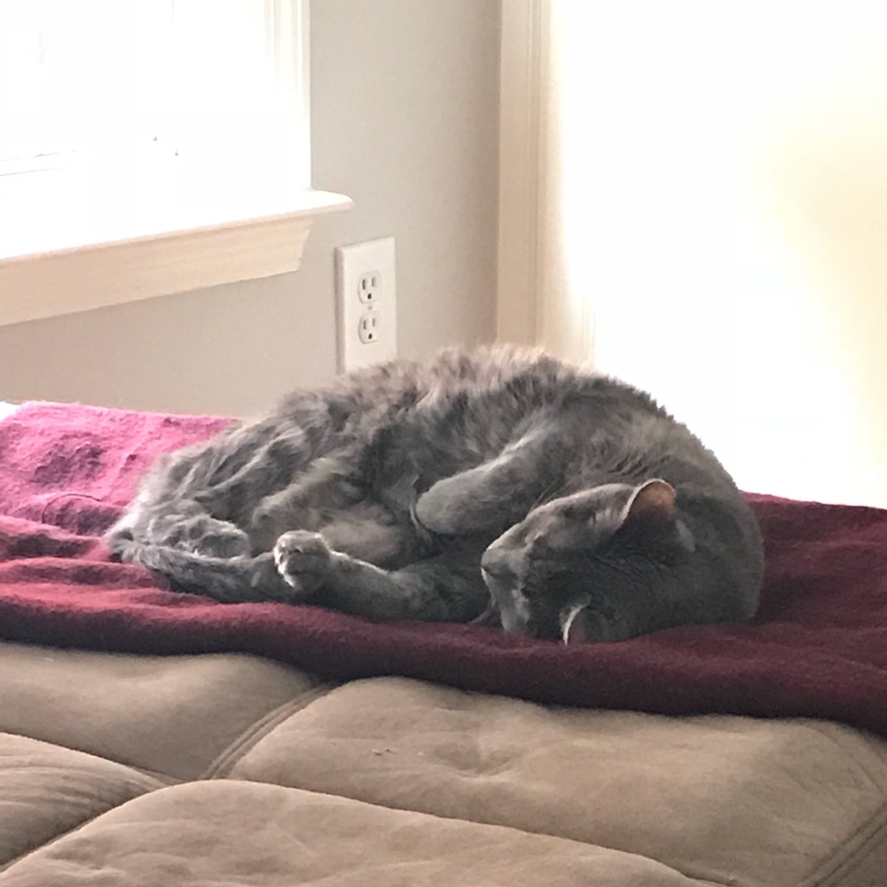 Meet your Posher, Victoria